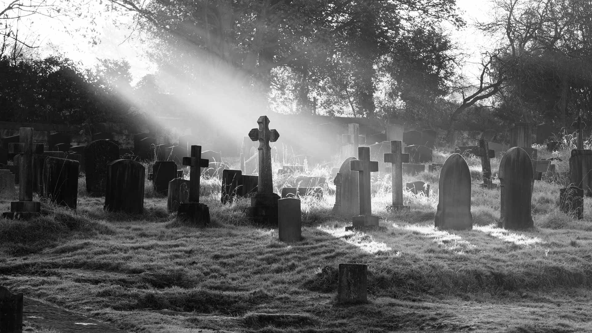 Grabsteine auf einem Friedhof im Morgenlicht – individuelle Grabsteingestaltung und Denkmäler