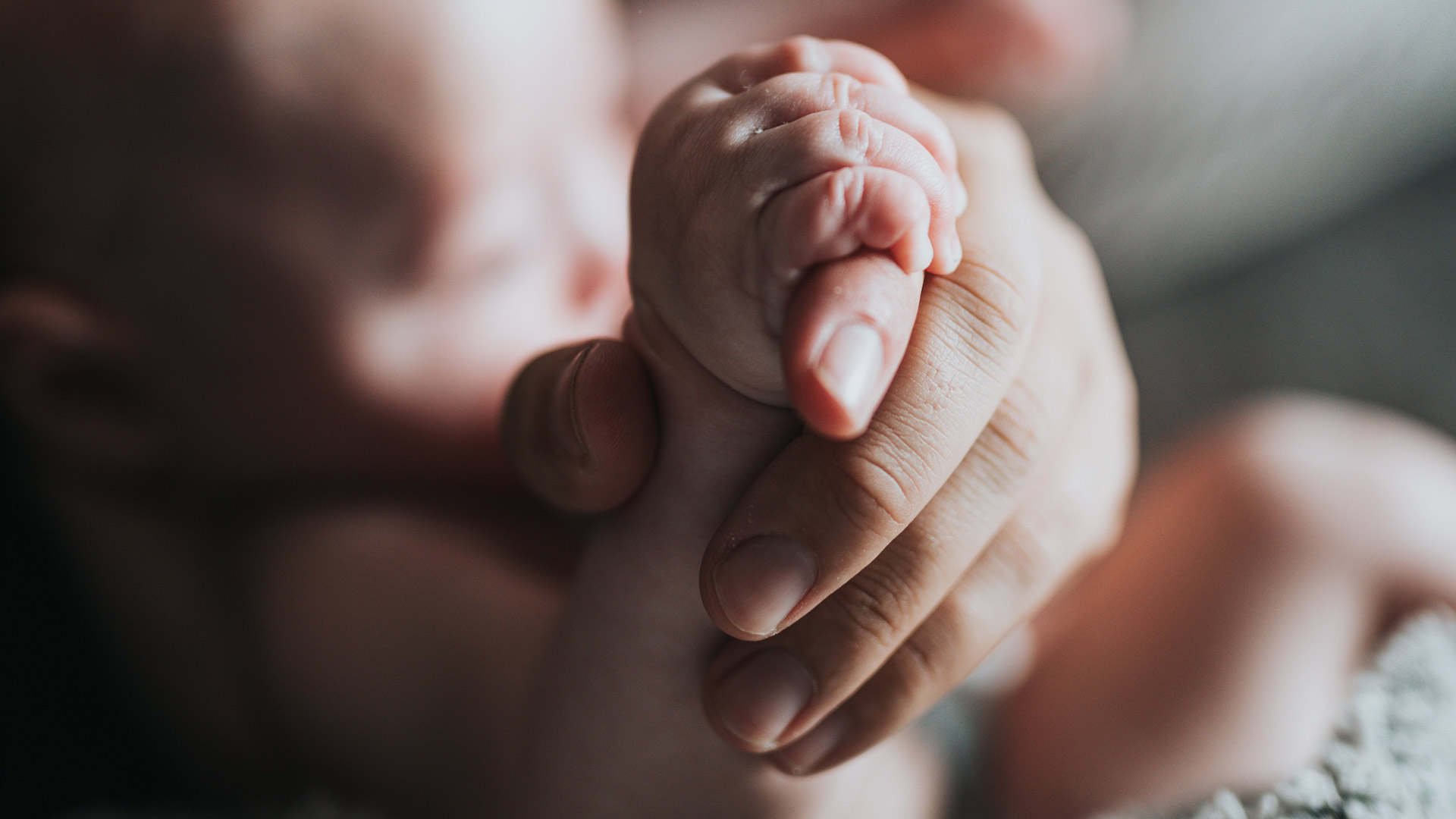 Hand eines Babys hält den Finger eines Erwachsenen – Testament und Bestattungsvorsorge für minderjährige Kinder